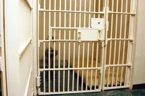 Jail cell