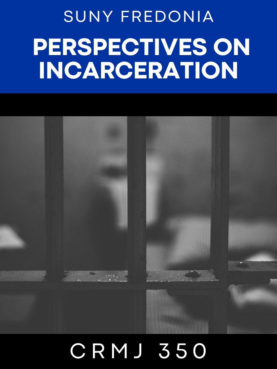 Cover image for Perspectives on Incarceration
